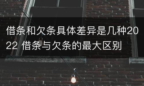 借条和欠条具体差异是几种2022 借条与欠条的最大区别