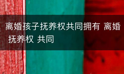 离婚孩子抚养权共同拥有 离婚 抚养权 共同