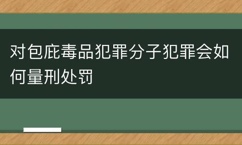 对包庇毒品犯罪分子犯罪会如何量刑处罚