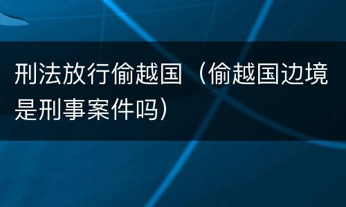 刑法放行偷越国（偷越国边境是刑事案件吗）
