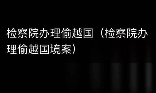 检察院办理偷越国（检察院办理偷越国境案）