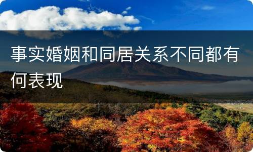 事实婚姻和同居关系不同都有何表现