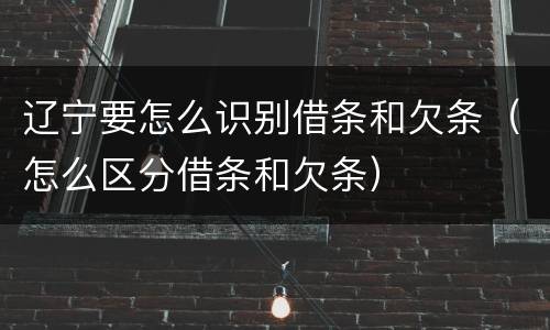 辽宁要怎么识别借条和欠条（怎么区分借条和欠条）
