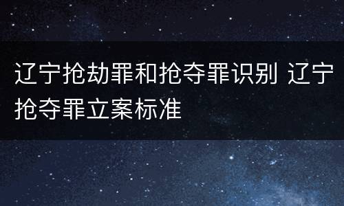 辽宁抢劫罪和抢夺罪识别 辽宁抢夺罪立案标准