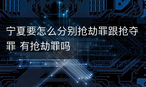 宁夏要怎么分别抢劫罪跟抢夺罪 有抢劫罪吗