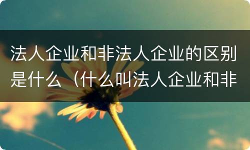 法人企业和非法人企业的区别是什么（什么叫法人企业和非法人企业）