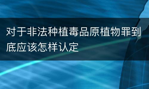 对于非法种植毒品原植物罪到底应该怎样认定