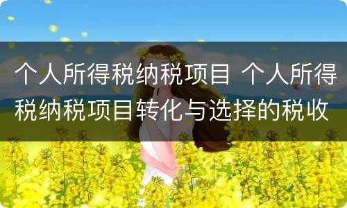 个人所得税纳税项目 个人所得税纳税项目转化与选择的税收筹划