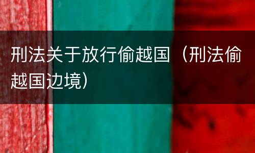 刑法关于放行偷越国（刑法偷越国边境）