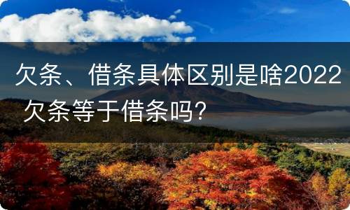欠条、借条具体区别是啥2022 欠条等于借条吗?