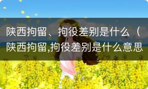 陕西拘留、拘役差别是什么（陕西拘留,拘役差别是什么意思）