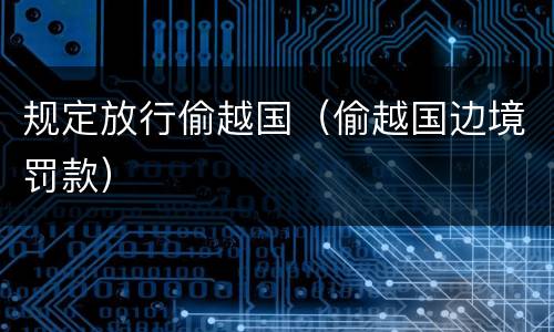 规定放行偷越国（偷越国边境罚款）