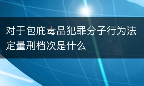 对于包庇毒品犯罪分子行为法定量刑档次是什么