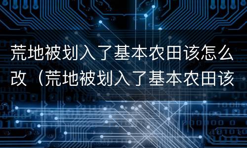 荒地被划入了基本农田该怎么改（荒地被划入了基本农田该怎么改土地）