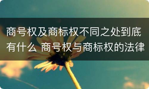 商号权及商标权不同之处到底有什么 商号权与商标权的法律冲突与解决