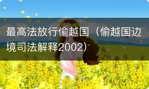 最高法放行偷越国（偷越国边境司法解释2002）