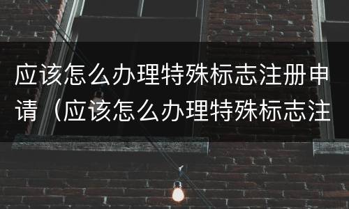 应该怎么办理特殊标志注册申请（应该怎么办理特殊标志注册申请呢）