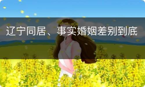 辽宁同居、事实婚姻差别到底
