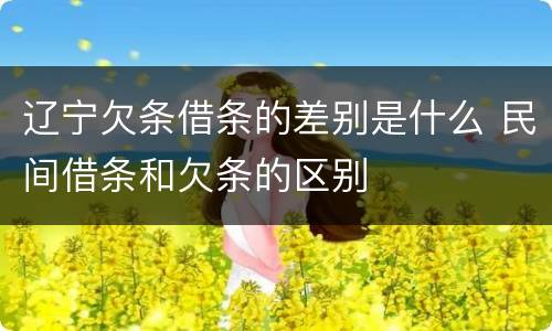 辽宁欠条借条的差别是什么 民间借条和欠条的区别