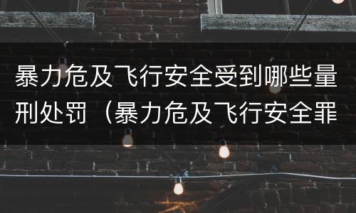 暴力危及飞行安全受到哪些量刑处罚（暴力危及飞行安全罪的构成要件）