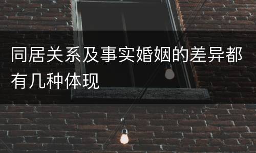 同居关系及事实婚姻的差异都有几种体现