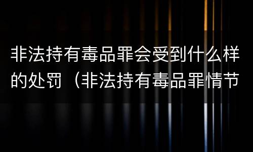 非法持有毒品罪会受到什么样的处罚（非法持有毒品罪情节严重）