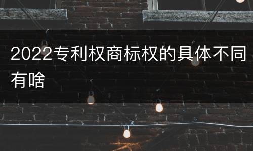 2022专利权商标权的具体不同有啥