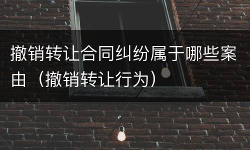 撤销转让合同纠纷属于哪些案由（撤销转让行为）