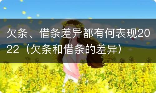 欠条、借条差异都有何表现2022（欠条和借条的差异）