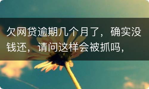 欠网贷逾期几个月了，确实没钱还，请问这样会被抓吗，