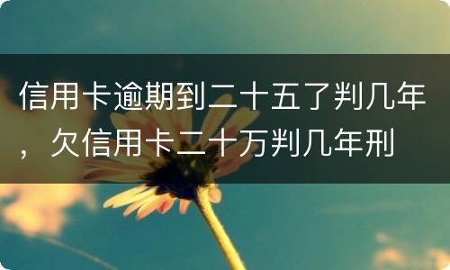 信用卡逾期到二十五了判几年，欠信用卡二十万判几年刑