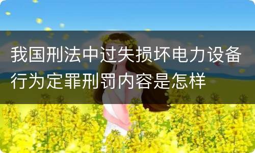 我国刑法中过失损坏电力设备行为定罪刑罚内容是怎样
