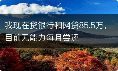我现在贷银行和网贷85.5万，目前无能力每月尝还