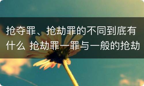 抢夺罪、抢劫罪的不同到底有什么 抢劫罪一罪与一般的抢劫罪区别