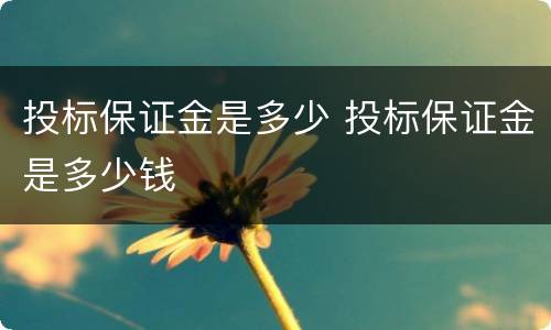 投标保证金是多少 投标保证金是多少钱