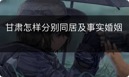 甘肃怎样分别同居及事实婚姻