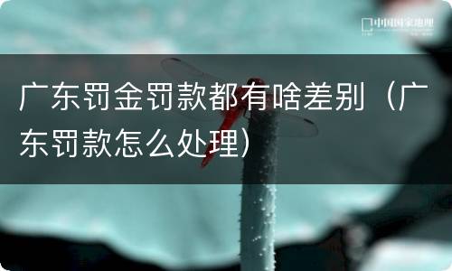 广东罚金罚款都有啥差别（广东罚款怎么处理）