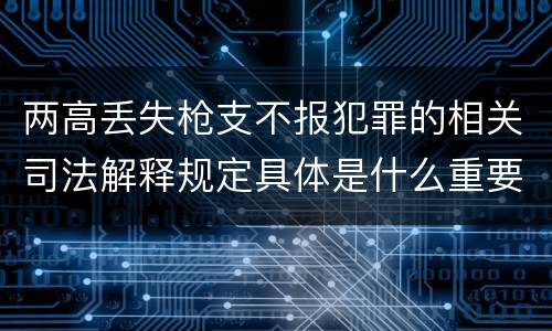 两高丢失枪支不报犯罪的相关司法解释规定具体是什么重要内容