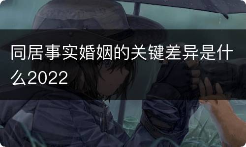 同居事实婚姻的关键差异是什么2022