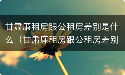 甘肃廉租房跟公租房差别是什么（甘肃廉租房跟公租房差别是什么意思）