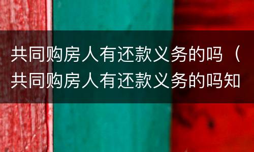 共同购房人有还款义务的吗（共同购房人有还款义务的吗知乎）