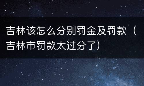 吉林该怎么分别罚金及罚款（吉林市罚款太过分了）