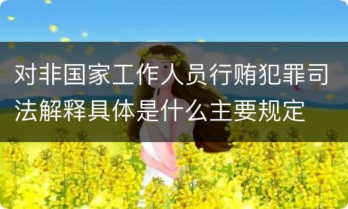 对非国家工作人员行贿犯罪司法解释具体是什么主要规定