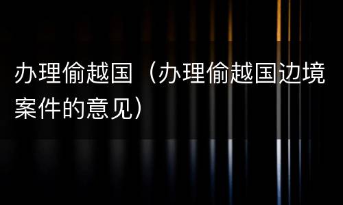 办理偷越国（办理偷越国边境案件的意见）