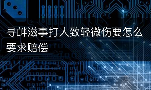 寻衅滋事打人致轻微伤要怎么要求赔偿