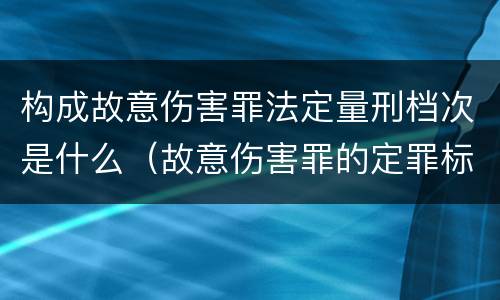 构成故意伤害罪法定量刑档次是什么（故意伤害罪的定罪标准）