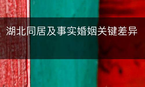 湖北同居及事实婚姻关键差异