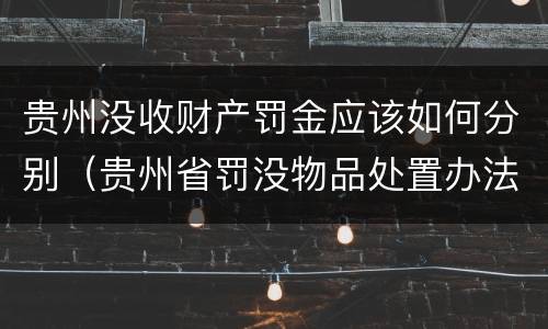 贵州没收财产罚金应该如何分别（贵州省罚没物品处置办法）