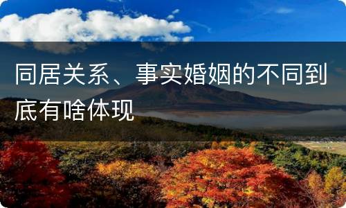 同居关系、事实婚姻的不同到底有啥体现