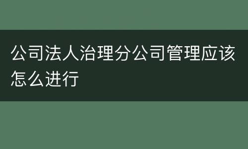 公司法人治理分公司管理应该怎么进行